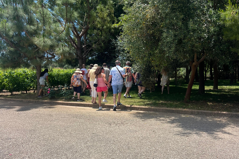 Katakolo: Olympia Tour, Olive Grove & Greek Cooking