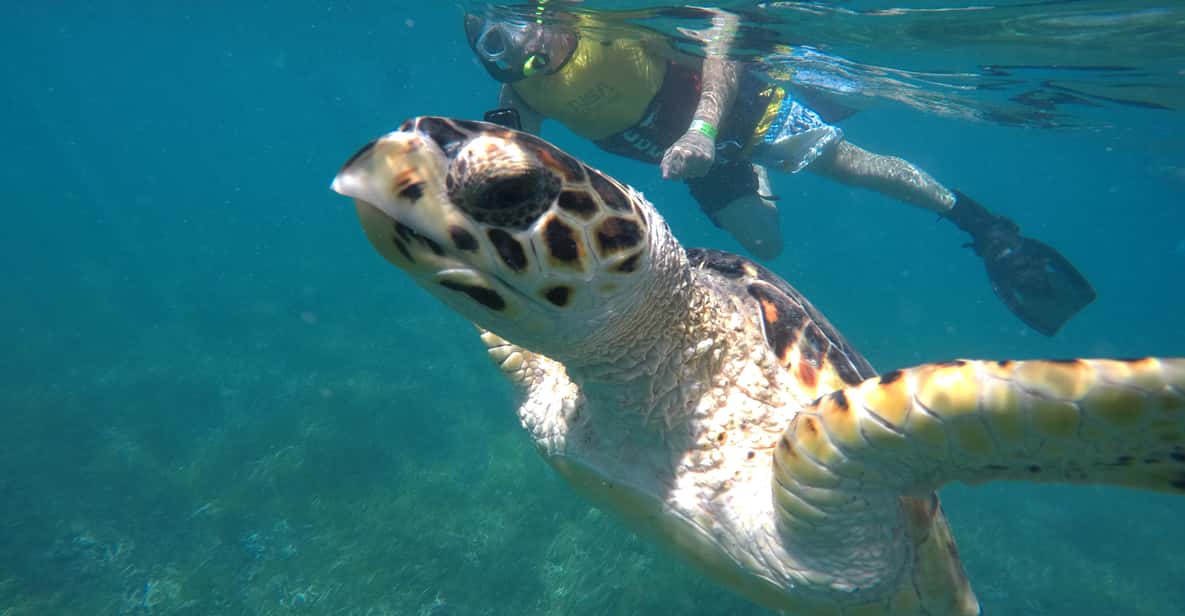 Cancun: Go City All-Inclusive Pass with 30+ Attractions