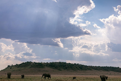 Pernoite em um safári particular em Masai MaraSafari privado noturno para acomodação de luxo em Masai Mara