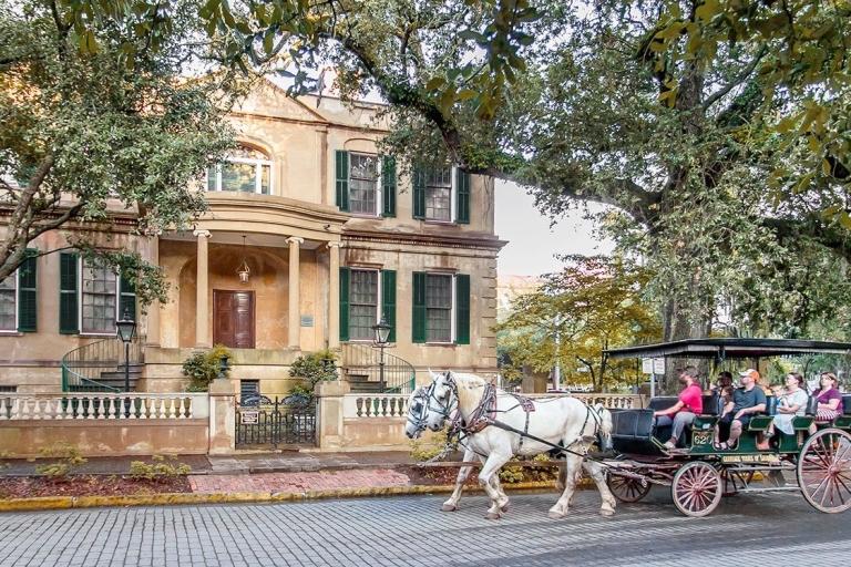 Savannah: volledige toegangspas voor meer dan 30 tours1-daagse Savannah-tourpas