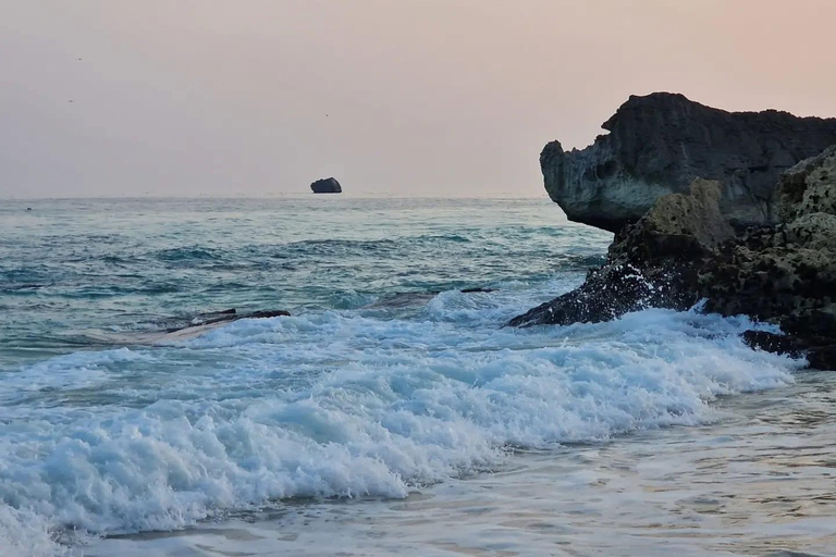 塞拉莱：乳香之路、骆驼农场和海滩之旅