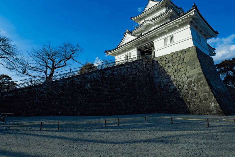 Tokyo: Mount Fuji And Hakone Private Tour Full Customizable