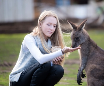 Admission Ticket to Bonorong Wildlife Sanctuary