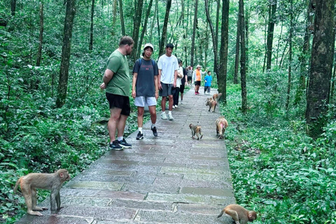 2-Day ZJJ Forest Hike: Conquer the Avatar Mountains on Foot 2-Day Zhangjiajie: Conquer the Avatar Mountains on Foot