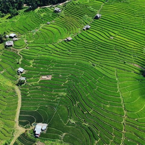 Chiangmai : Doi Inthanon unseen spot , Rice terrace & temple
