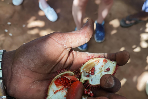 Dagtrip Zanzibar: Stone Town, Spice Tour en GevangeniseilandGedeelde groepsreis