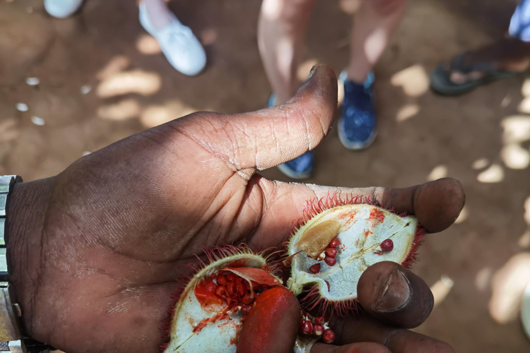 Dagtrip Zanzibar: Stone Town, Spice Tour en GevangeniseilandGedeelde groepsreis