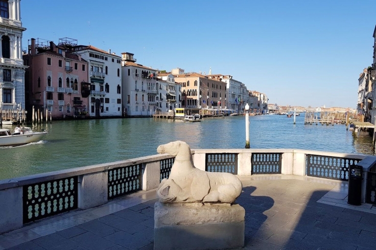 Venedig: Peggy Guggenheim Collection Tour mit privatem Guide