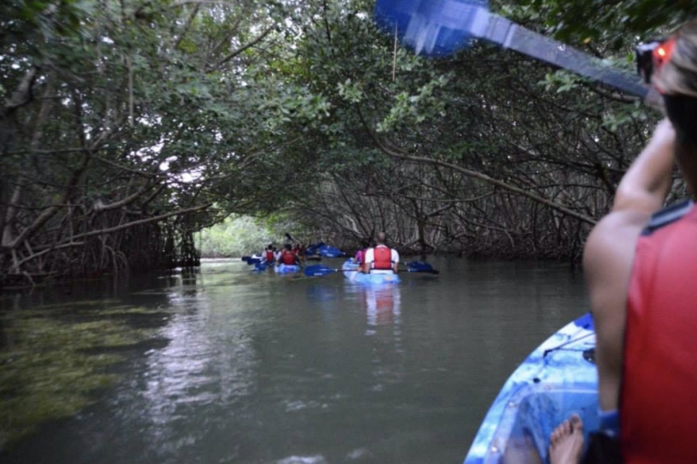 San Juan: Excursión combinada en kayak por el Bosque Lluvioso de El Yunque y Bio Bay