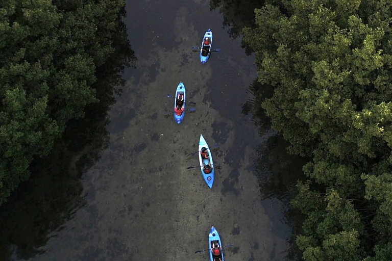 San Juan: Excursión combinada en kayak por el Bosque Lluvioso de El Yunque y Bio Bay