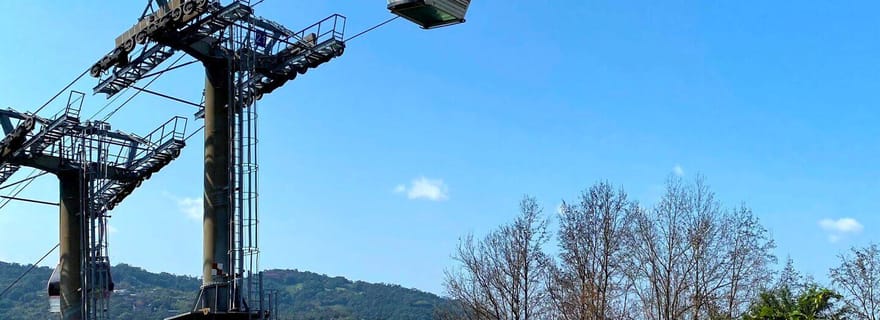 Depuis Taipei : Visite guidée de la culture du thé de Pinglin et de Maokong