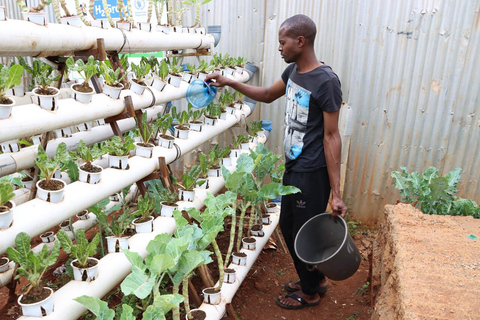 Nairobi: Urban Farming and Eco-Innovation Tour with Pickup