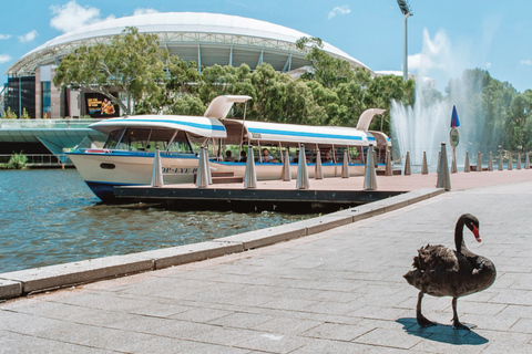 Adélaïde : croisière sur le thé dans le Devonshire River Torrens sur un bateau emblématique