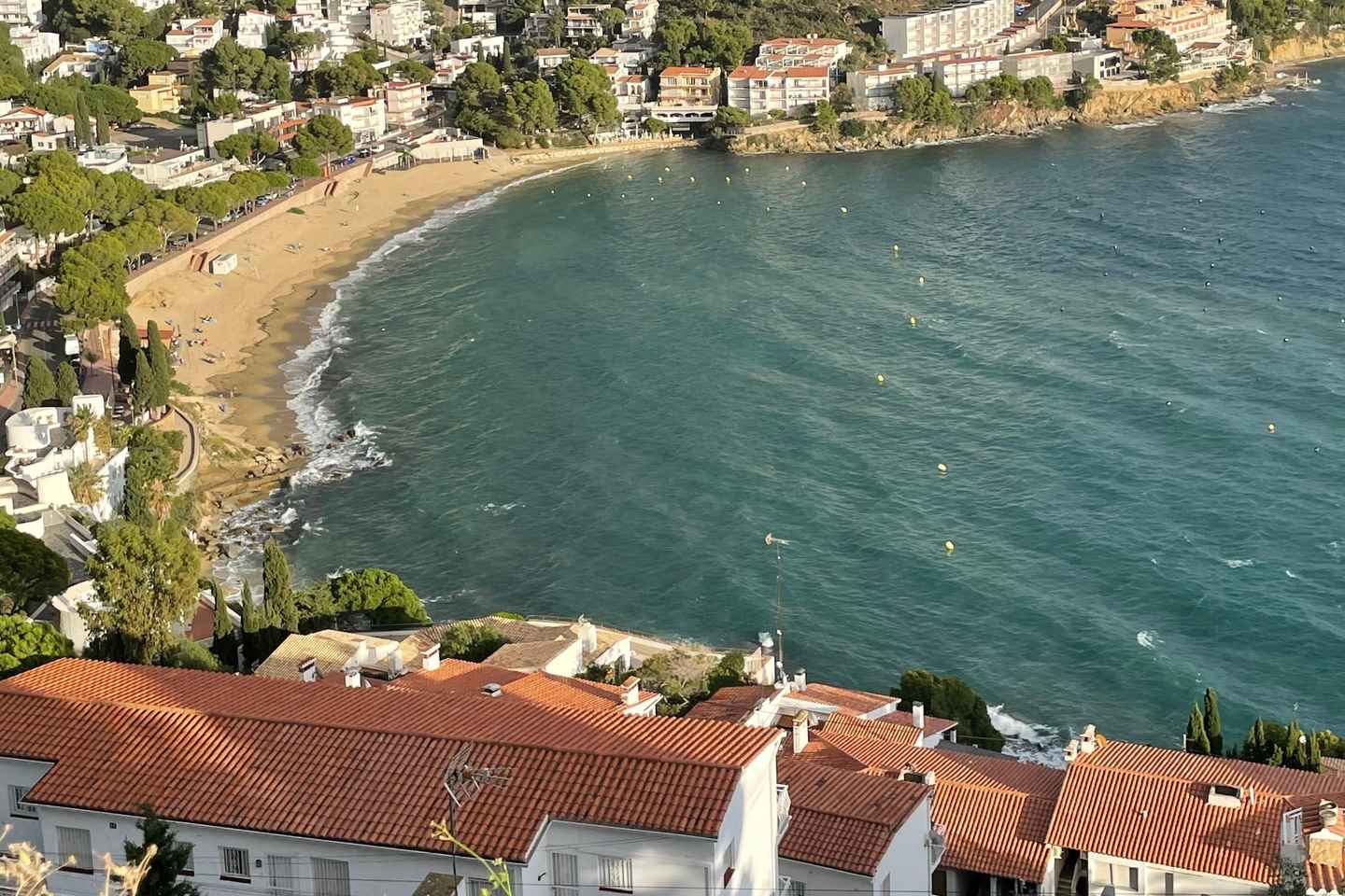 ローゼス湾で楽しむ：クアッドバイク・エクスカーション