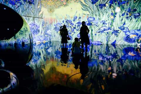 NYC: Van Gogh Exhibit w/ Statue of Liberty Cruise Upgrade