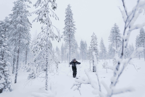 Rovaniemi: esquí de travesía y aventura fotográfica