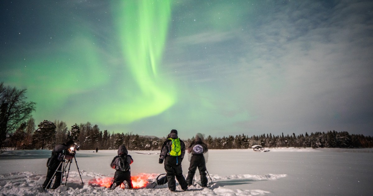 get your guide northern lights tour