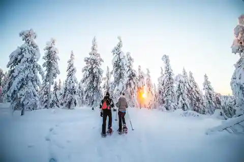 Rovaniemi: Aventura na natureza com raquetes de neve