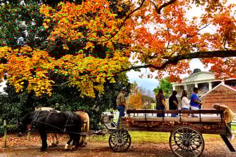 Nashville: Andrew Jackson's Hermitage Grounds Pass