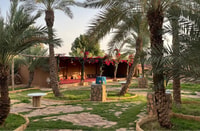 Heritage Ushaiqer Tour from Riyadh with Dinner - Housity