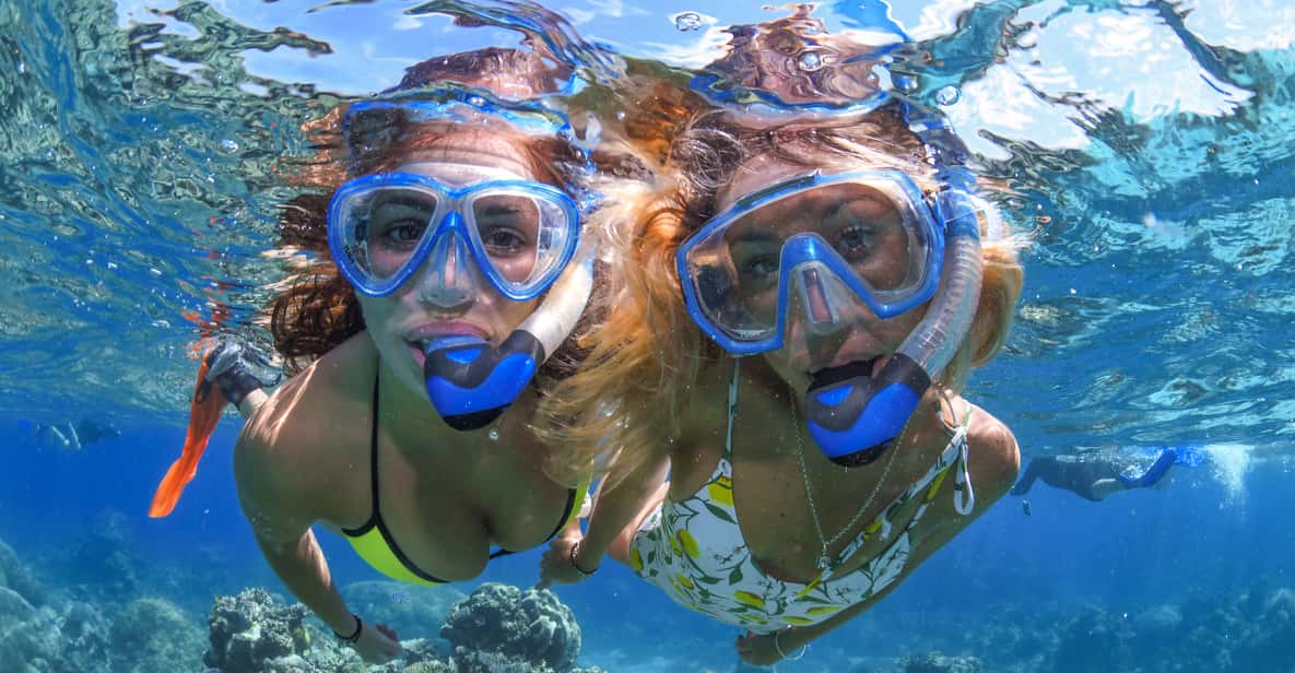 Cairns: Outer Great Barrier Reef Full-Day Tour with Lunch