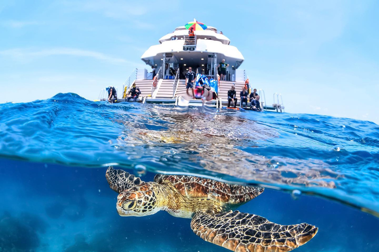 Cairns: Excursão de 1 dia com almoço à Grande Barreira de Corais ExteriorSomente mergulho com snorkel