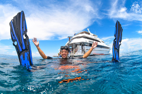 Cairns: Tour di un giorno della Grande Barriera Corallina esterna con pranzoSolo per lo snorkeling