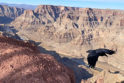 Grand Canyon & Hoover Dam: Private Tour from Las Vegas