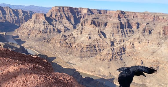 Von Las Vegas: Private Fototour zum Grand Canyon & Hoover Dam