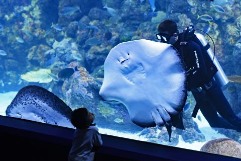 Istanbul: Istanbul Aquarium, Carsamba Pazari & 212 Mall Tour