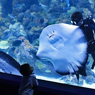Istanbul: Istanbul Aquarium, Carsamba Pazari & 212 Mall Tour
