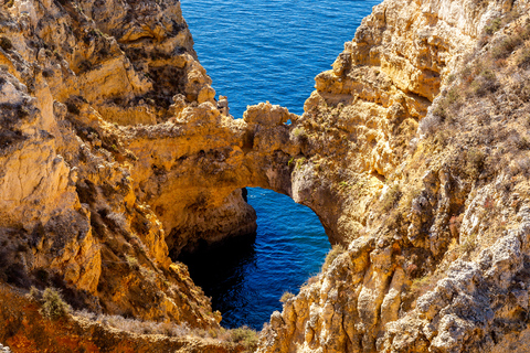 Desde Lagos: crucero a las cuevas de Ponta da Piedade