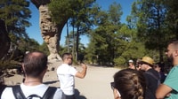 Madrid, Tagesausflug nach Cuenca und der verzauberten Stadt - Hizvo