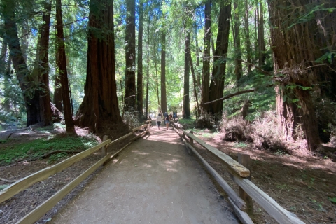 San Francisco: rondleiding door Muir Woods National Park & Sausalito
