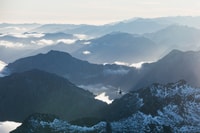 Queenstown, Milford Sound Flight and Cruise - Housity