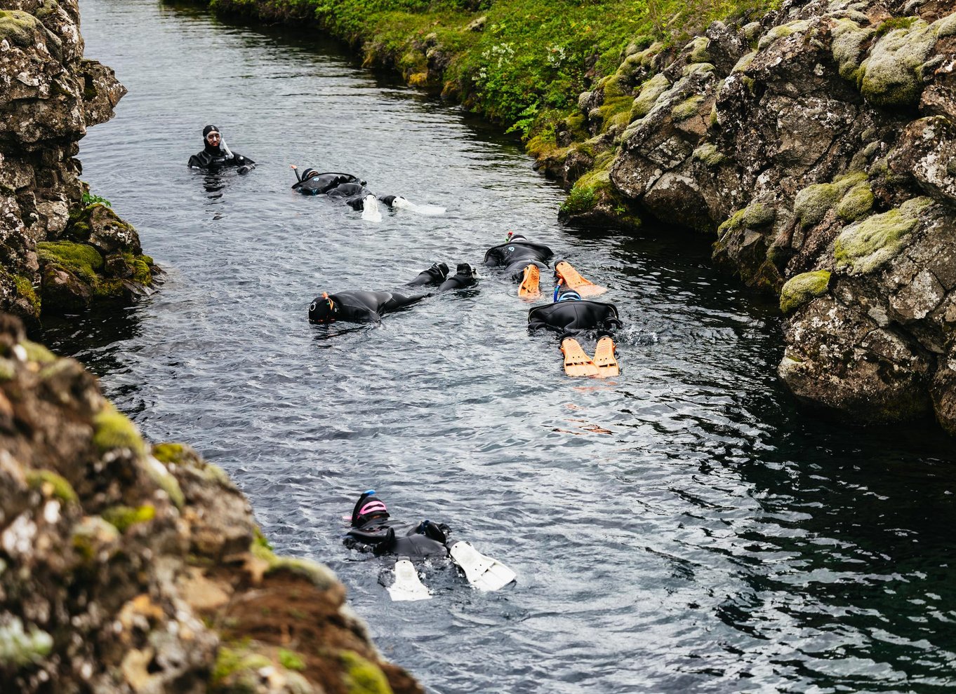 Silfra: Sprækkesnorkeltur med undervandsbilleder