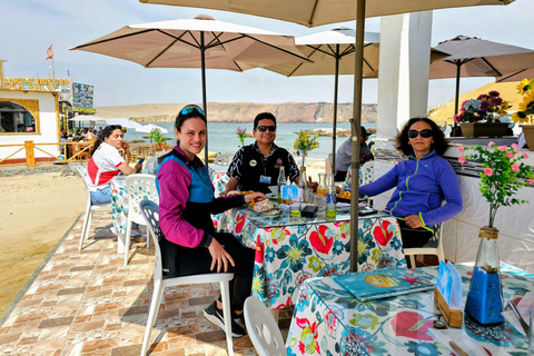 Paracas, Ballestas Islands, & Paracas National Reserve Tour from Ica