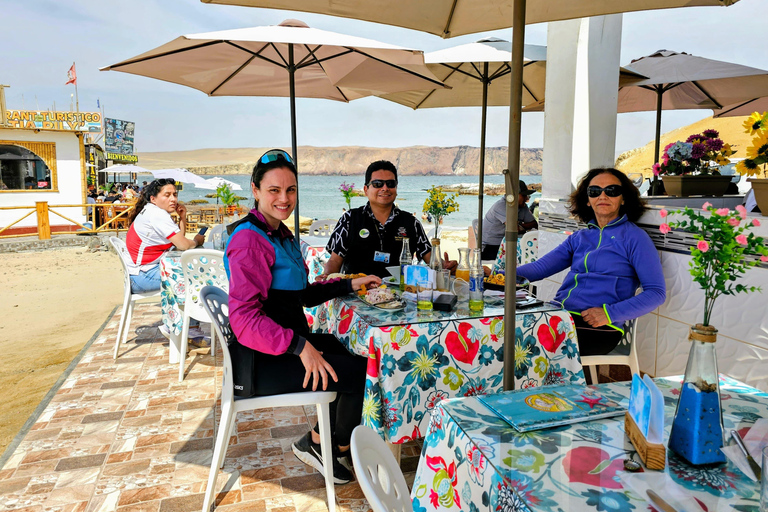 Paracas, Ballestas Islands, & Paracas National Reserve Tour from Ica
