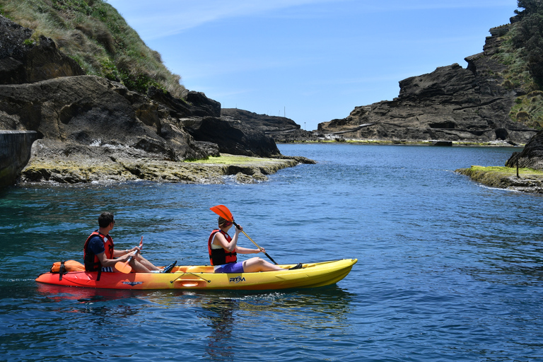 Vila Franca do Campo: Kayak Rental 6h Quadruple Kayak Rental (4 people)