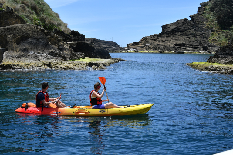 Vila Franca do Campo: Kayak Rental 6h Single Kayak Rental