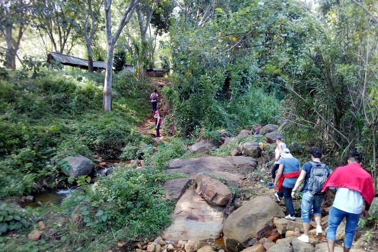 Esplora le cascate iconiche di Ella con un&#039;avventura panoramica in tuk-tuk