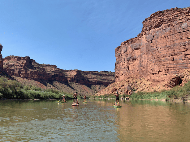 Moab: Colorado River 3.5-Hour Stand-Up Paddleboard Tour