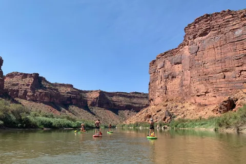 Moab: Flatwater Stand-Up Paddleboard Tour on Colorado River