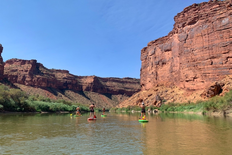 Moab: Colorado River 3,5 uur stand-up paddleboard-tour