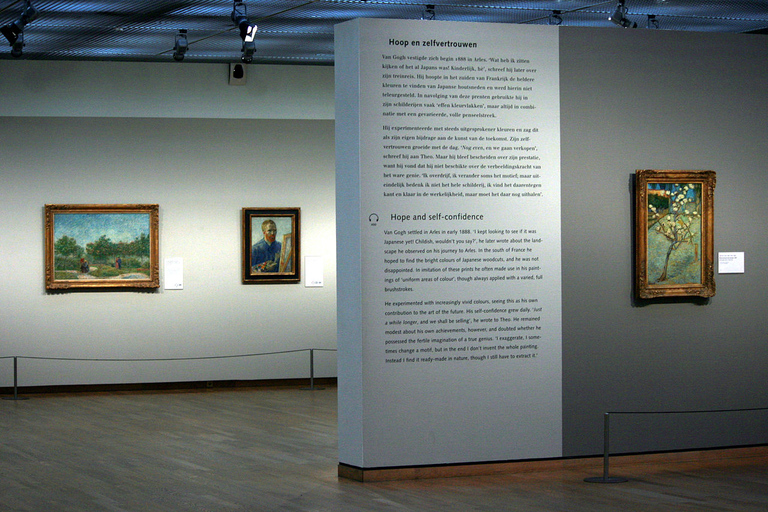 Amsterdam: tour guidato privato del Museo Van Gogh