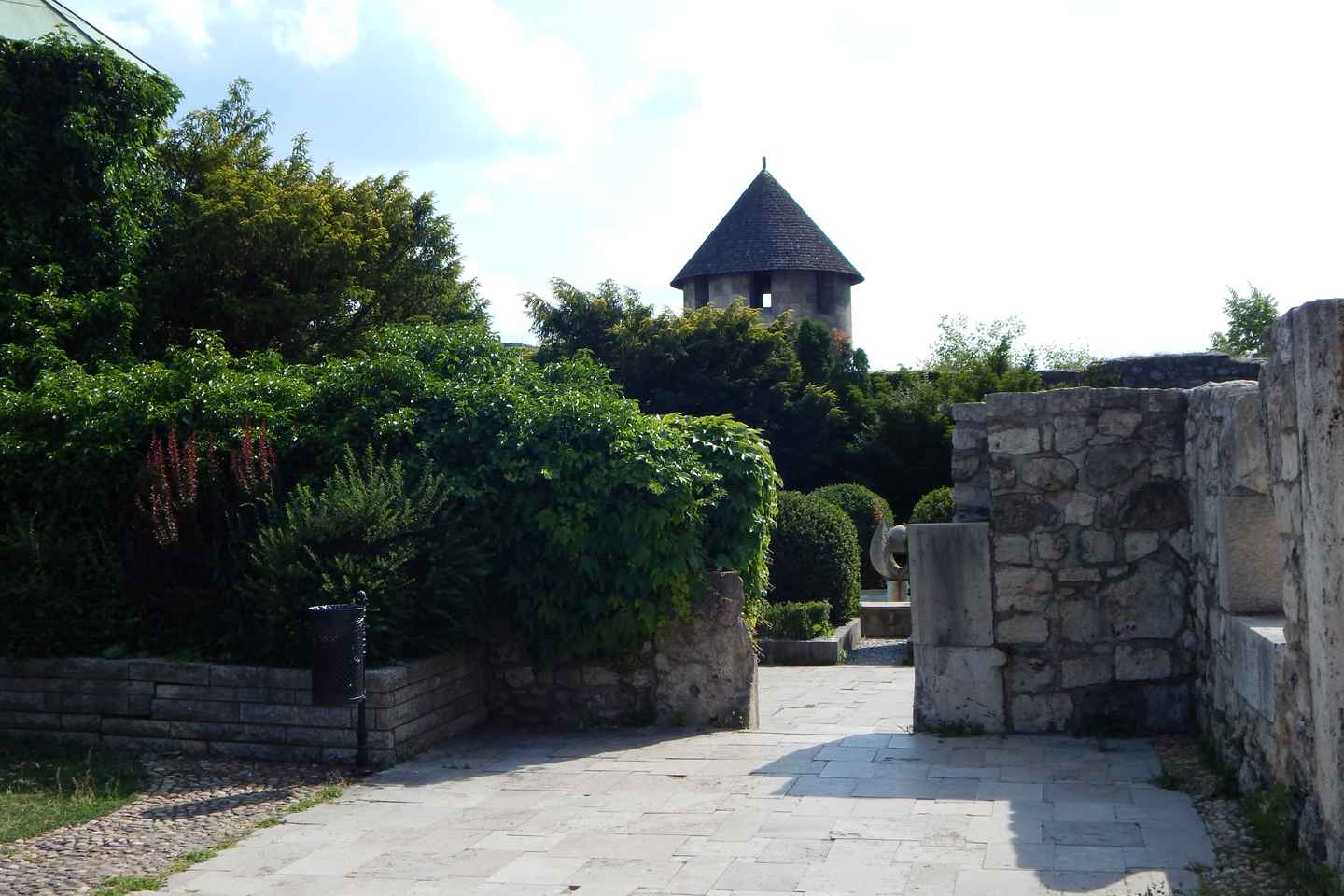 Buda Castle: Private Walking Tour