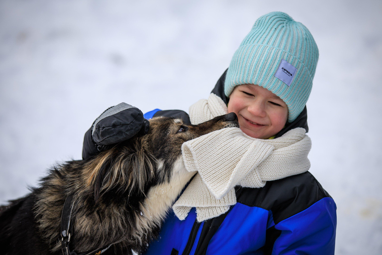 Rovaniemi: Santa Claus Village, Husky & Reindeer Tour