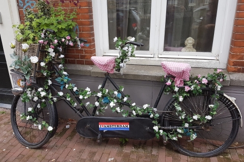 Amsterdam : visite à vélo de la campagne de 3 heures