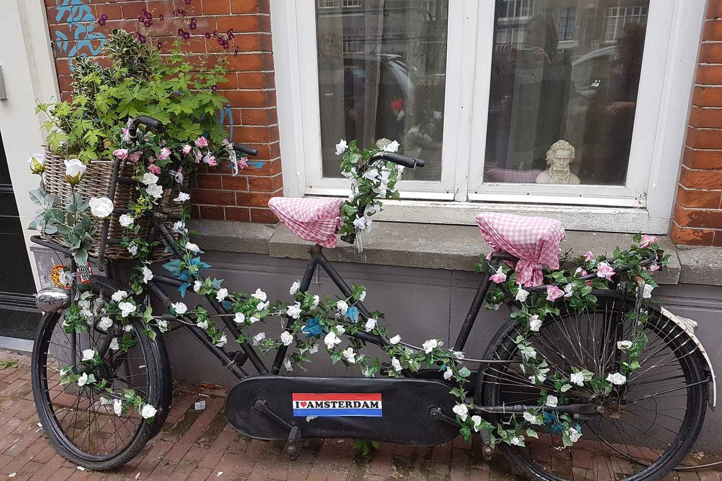 Amsterdam: 3-hour Countryside Bike Tour