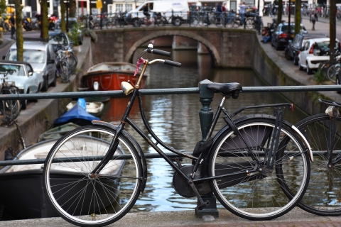 Ámsterdam: tour en bicicleta de 3 horas por el campo